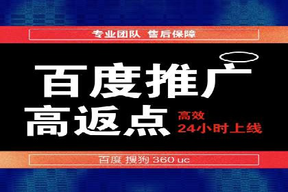 Sem优化公司成功案例：快速占领市场
